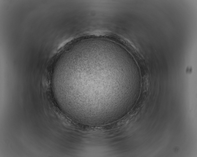 X0000090751158200708031601