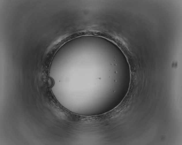 X0000090751159200708031601