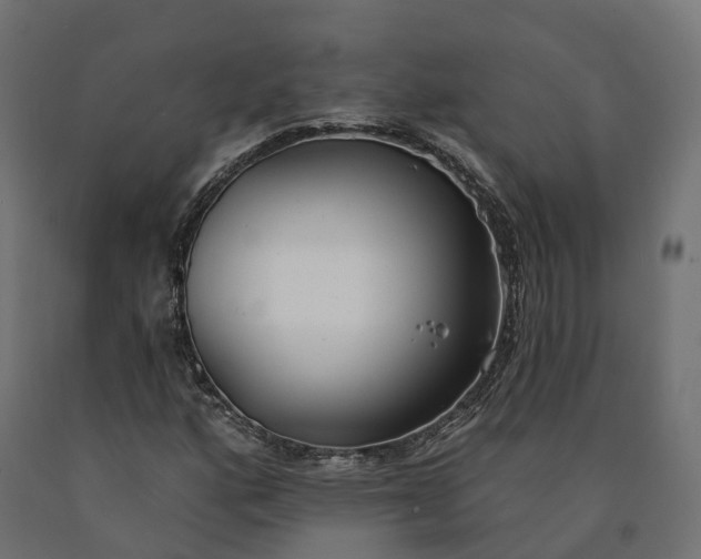 X0000090751160200708031601