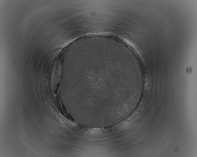 X0000090751161200708031601