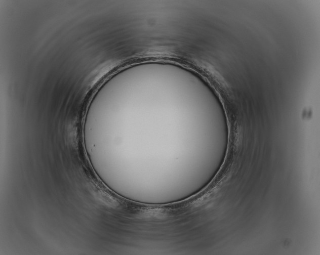 X0000090751162200708031601