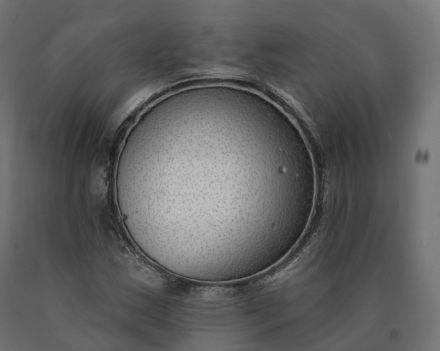 X0000090751163200708031601