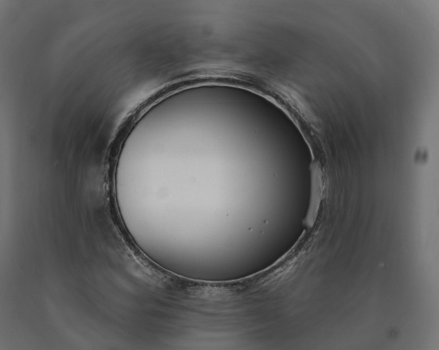 X0000090751164200708031601