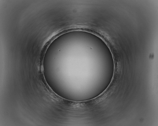 X0000090751165200708031601