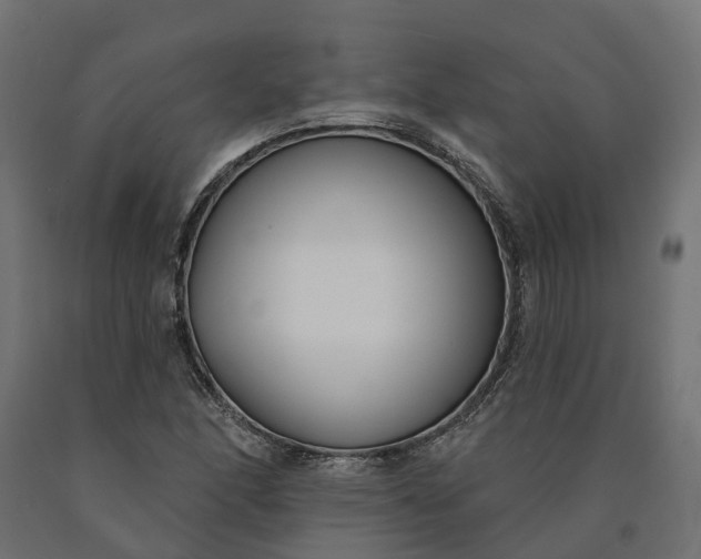 X0000090751166200708031601