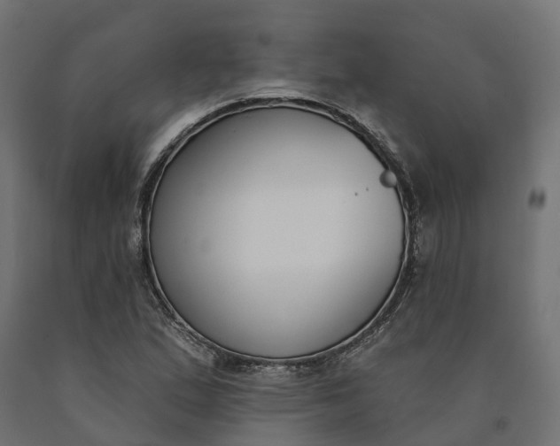 X0000090751167200708031601