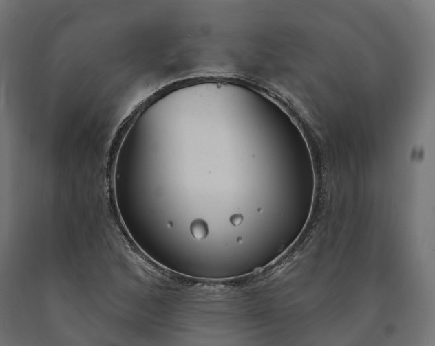 X0000090751168200708031601