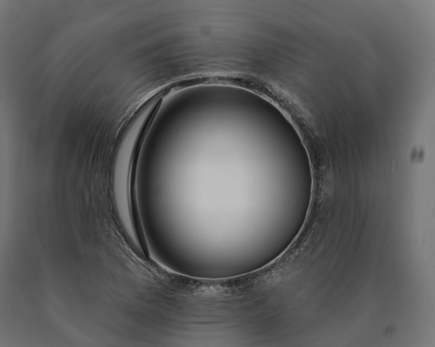 X0000090751169200708031601