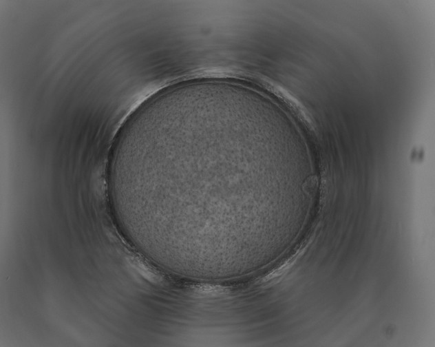 X0000090751170200708031601