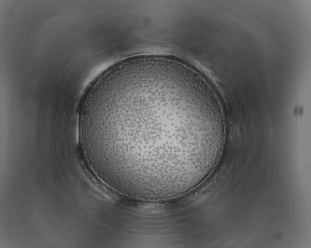 X0000090751171200708031601