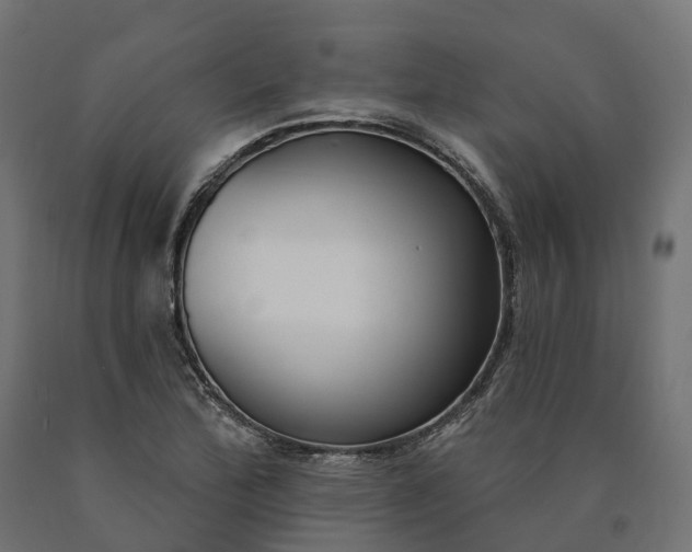 X0000090751172200708031601