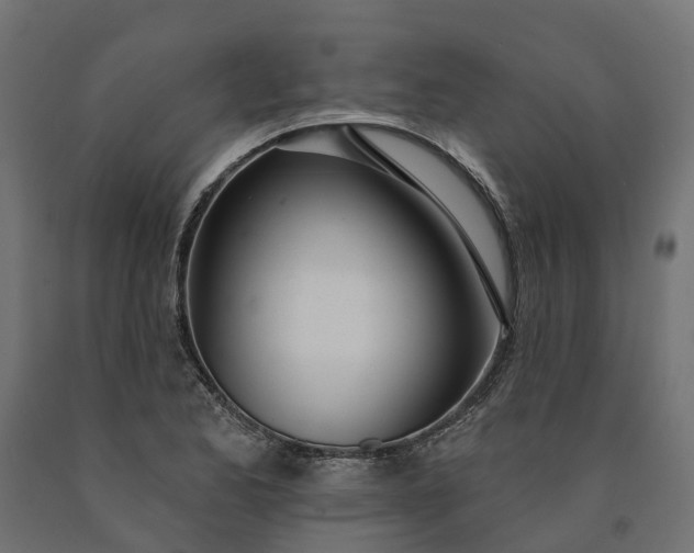 X0000090751173200708031601