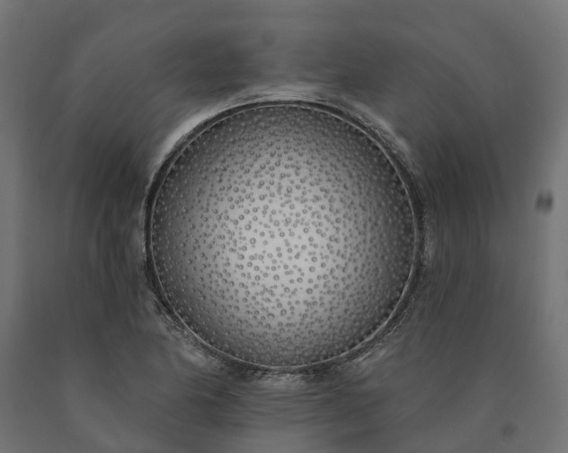 X0000090751174200708031601