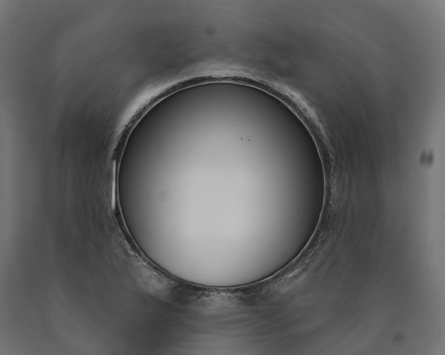 X0000090751175200708031601