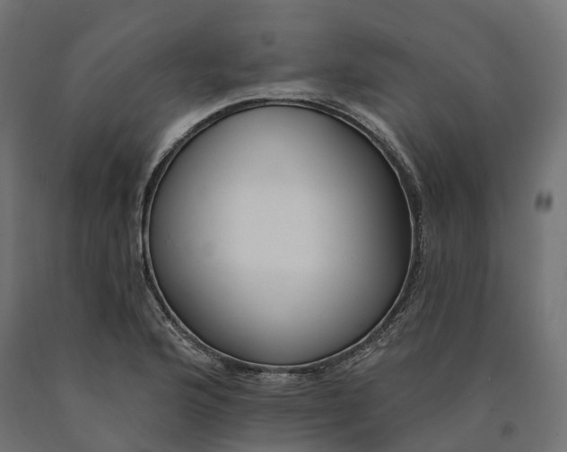 X0000090751176200708031601