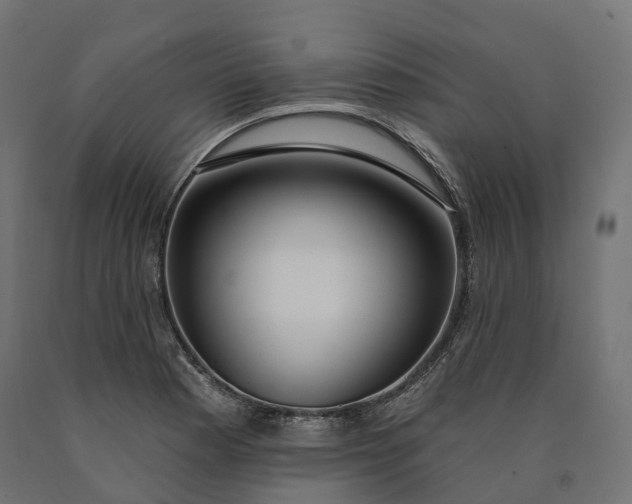 X0000090751177200708031601