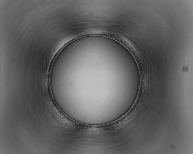 X0000090751178200708031601