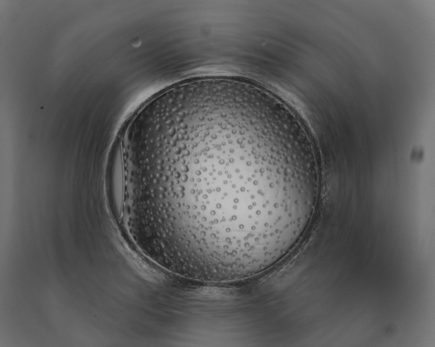 X0000090751179200708031601