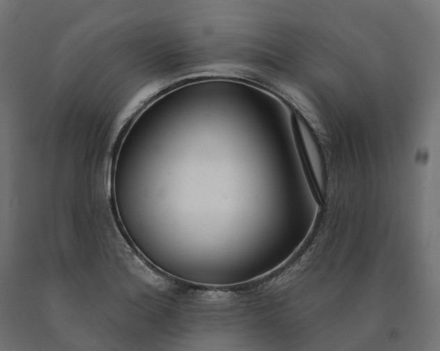 X0000090751180200708031601