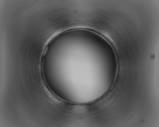 X0000090751181200708031601