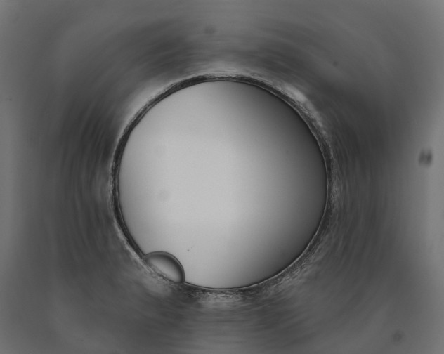 X0000090751183200708031601