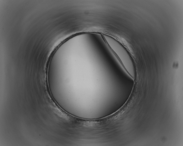 X0000090751184200708031601