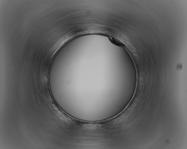 X0000090751185200708031601