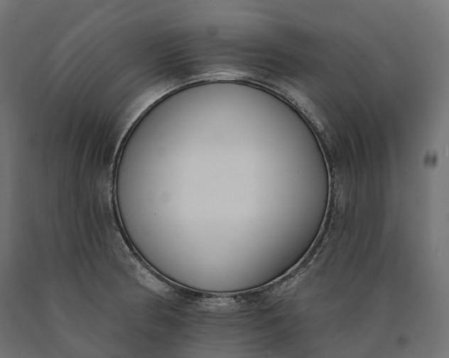 X0000090751186200708031601