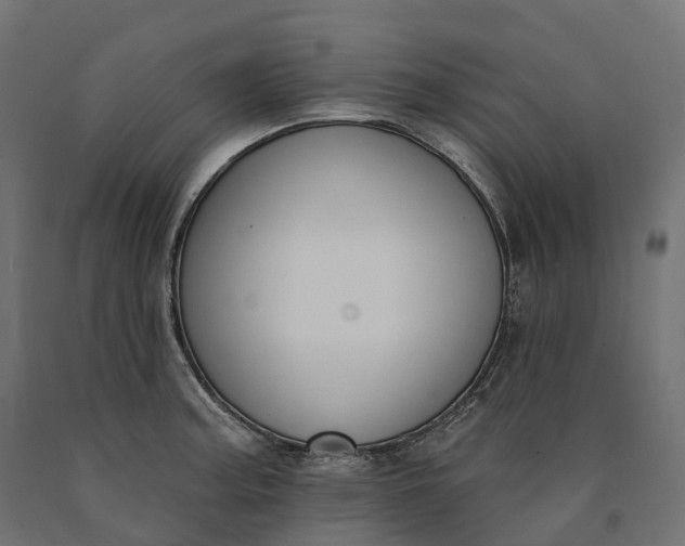 X0000090751187200708031601