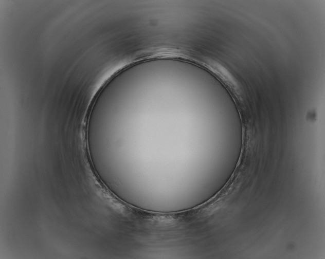 X0000090751190200708031601