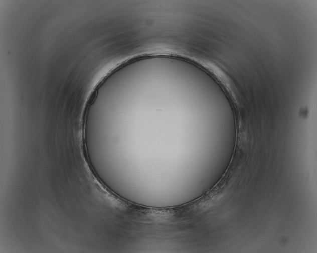 X0000090751191200708031601