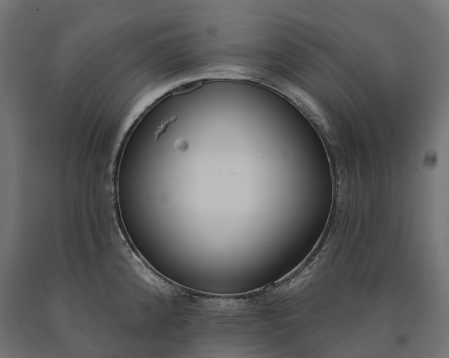 X0000090751192200708031601