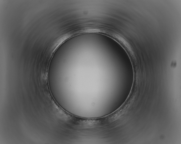 X0000090751193200708031601