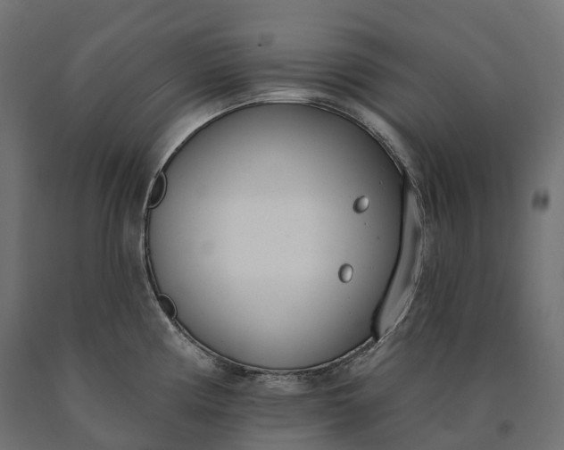 X0000090751194200708031601