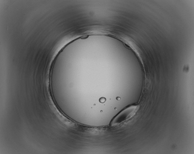 X0000090751195200708031601