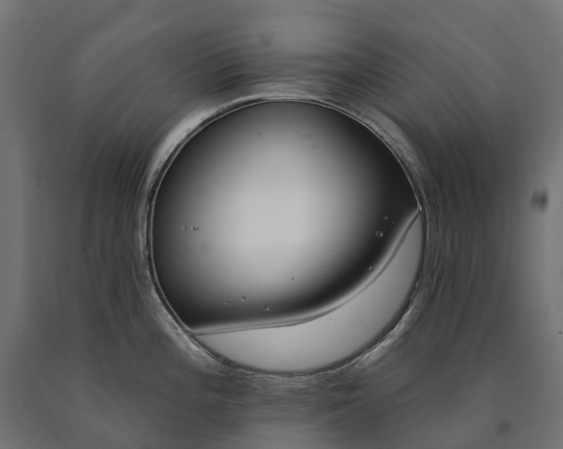 X0000090751196200708031601