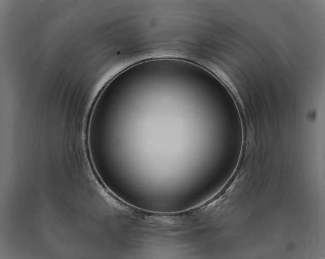 X0000090751197200708031601