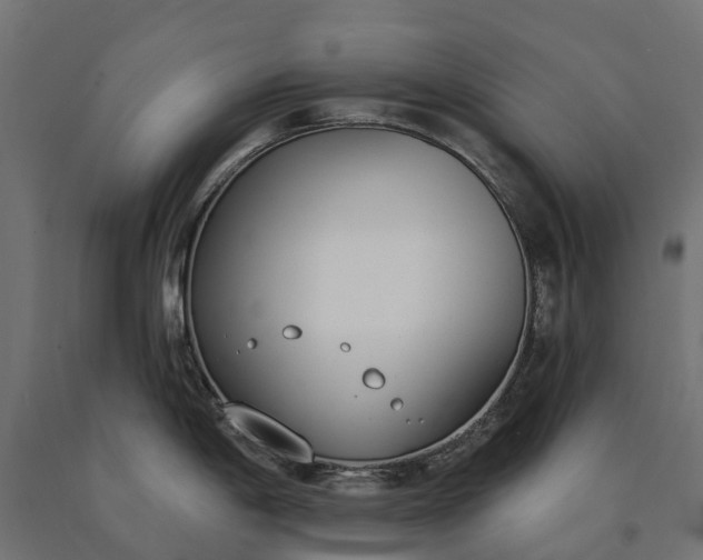 X0000090751198200708031601