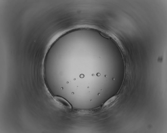 X0000090751199200708031601