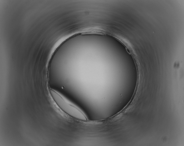 X0000090751200200708031601