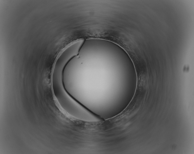 X0000090751202200708031600