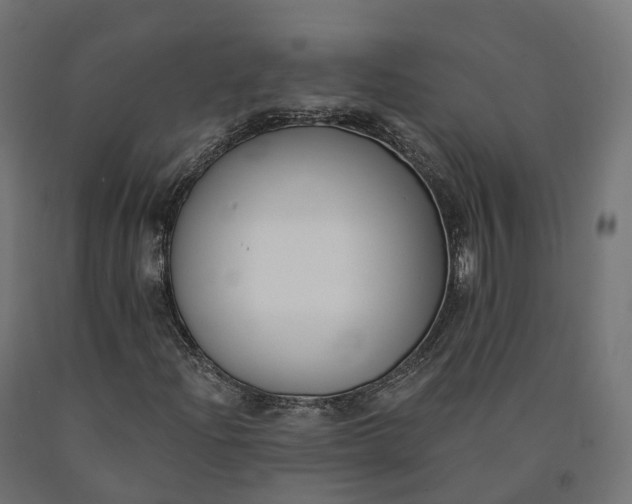 X0000090751204200708031600