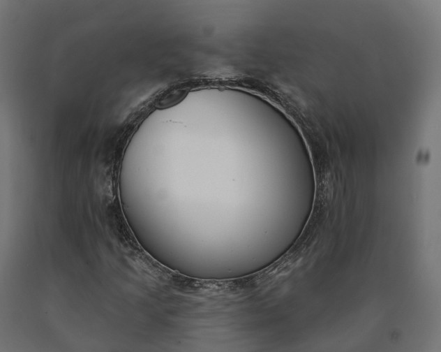 X0000090751205200708031600