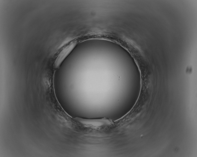 X0000090751206200708031600