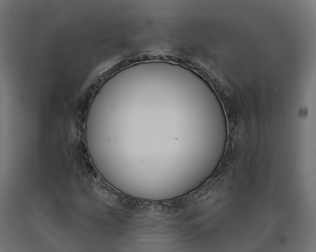 X0000090751207200708031600