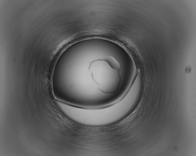 X0000090751210200708031600