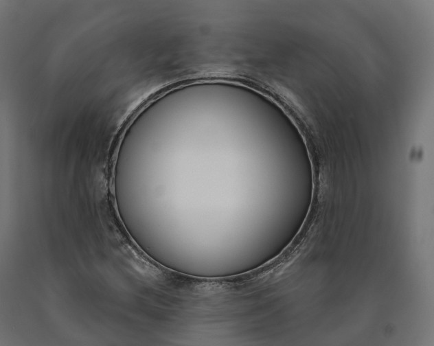 X0000090751212200708031600