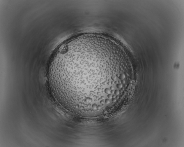 X0000090751213200708031600