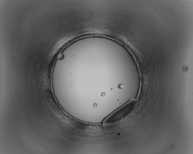 X0000090751215200708031600