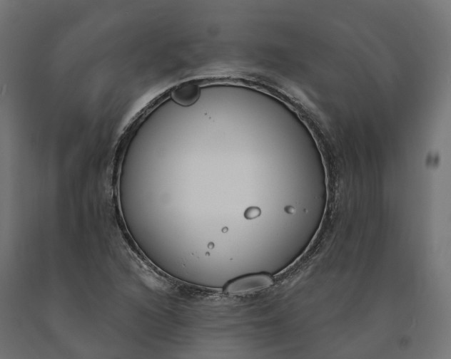 X0000090751216200708031600